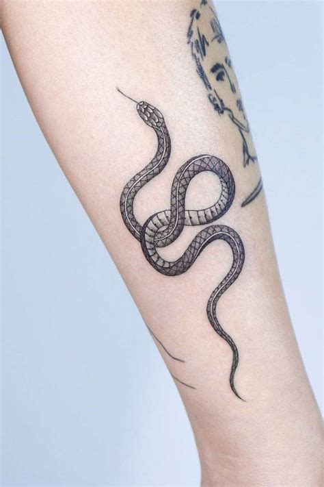 100+ Charming Snake Tattoo Designs with Meaning。